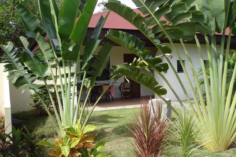 Alona Swiss Resort Panglao Zewnętrze zdjęcie